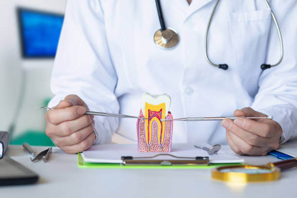 Best After-Hours Emergency Dentist in Center Point, IA